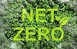 Net Zero Training Hub